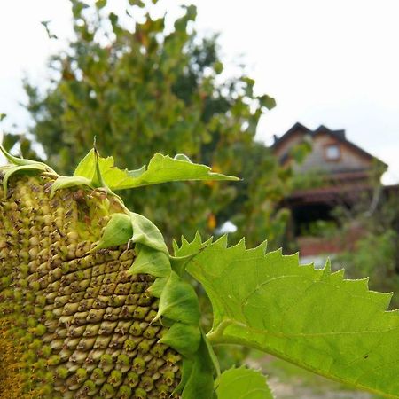 Dom Pachnacy Zywica Villa Bochnia Dış mekan fotoğraf