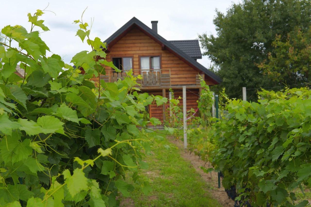 Dom Pachnacy Zywica Villa Bochnia Dış mekan fotoğraf